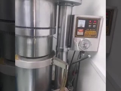 Pressar óleo de manteiga de cacau por máquina de óleo hidráulico lewin