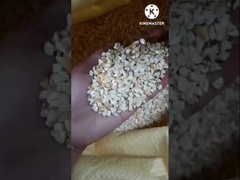 Máquina de extracção de óleo de germe de milho