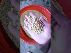 Máquina de prensagem de óleo de soja