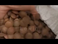 óleo de sementes de sacha inchi