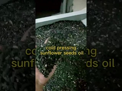 Máquina de prensagem de óleo de girassol