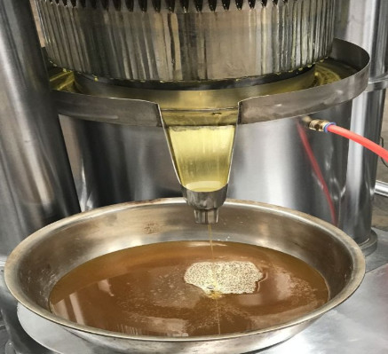 1.1KW Máquina de produção de óleo de gergelim de pressão de óleo hidráulico 6YY-185 Equipamento de processamento de óleo de abacate