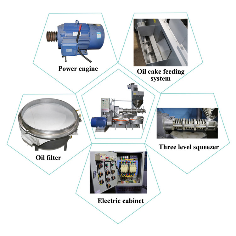 Máquina de prensagem de óleo de gergelim de semente de mostarda 6YL-160 parafuso Com capacidade de 300-600 kg/h